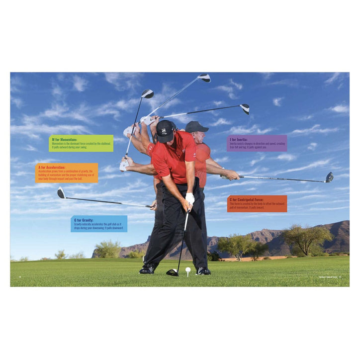 Invisible Swing eBook