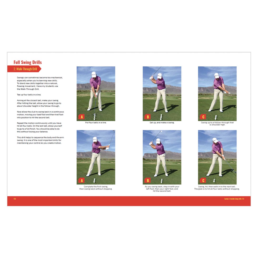 Invisible Swing eBook
