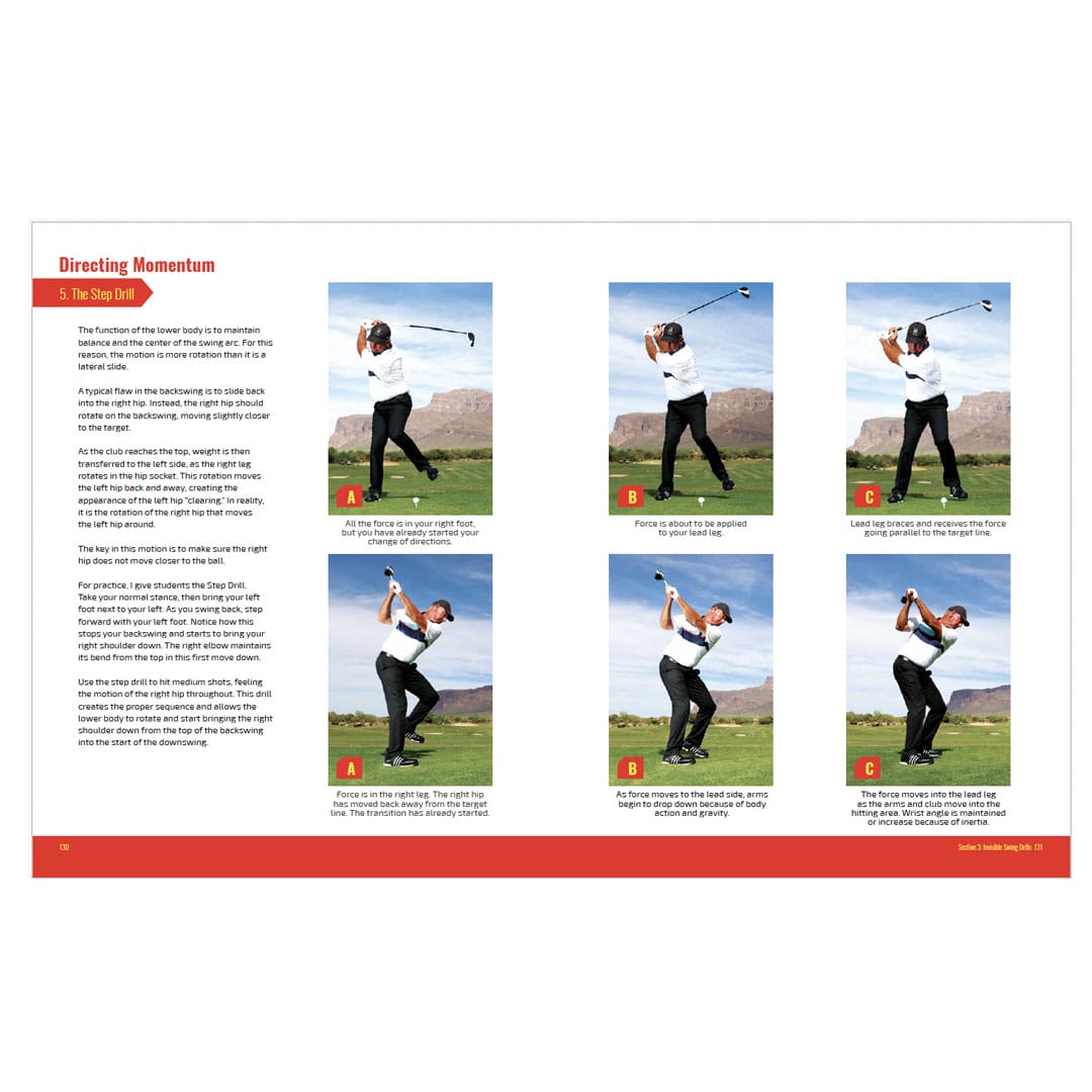 Invisible Swing eBook